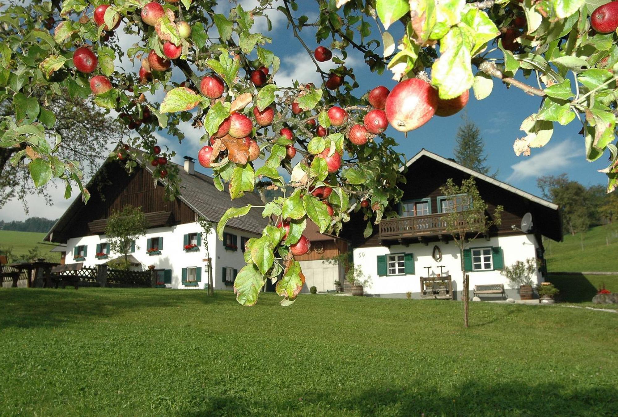 Ferienhof Margarethengut Vila Unterach am Attersee Exterior foto