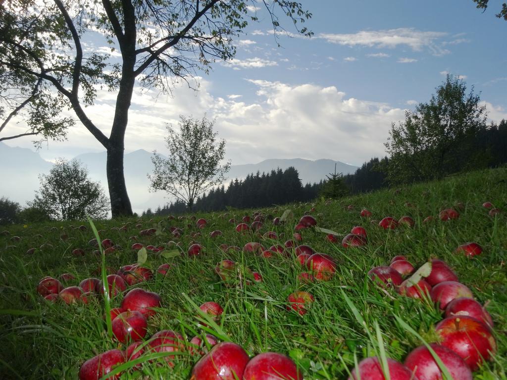 Ferienhof Margarethengut Vila Unterach am Attersee Exterior foto