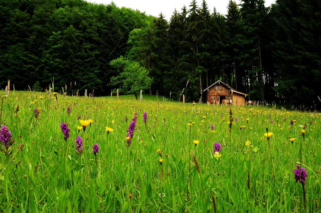 Ferienhof Margarethengut Vila Unterach am Attersee Exterior foto