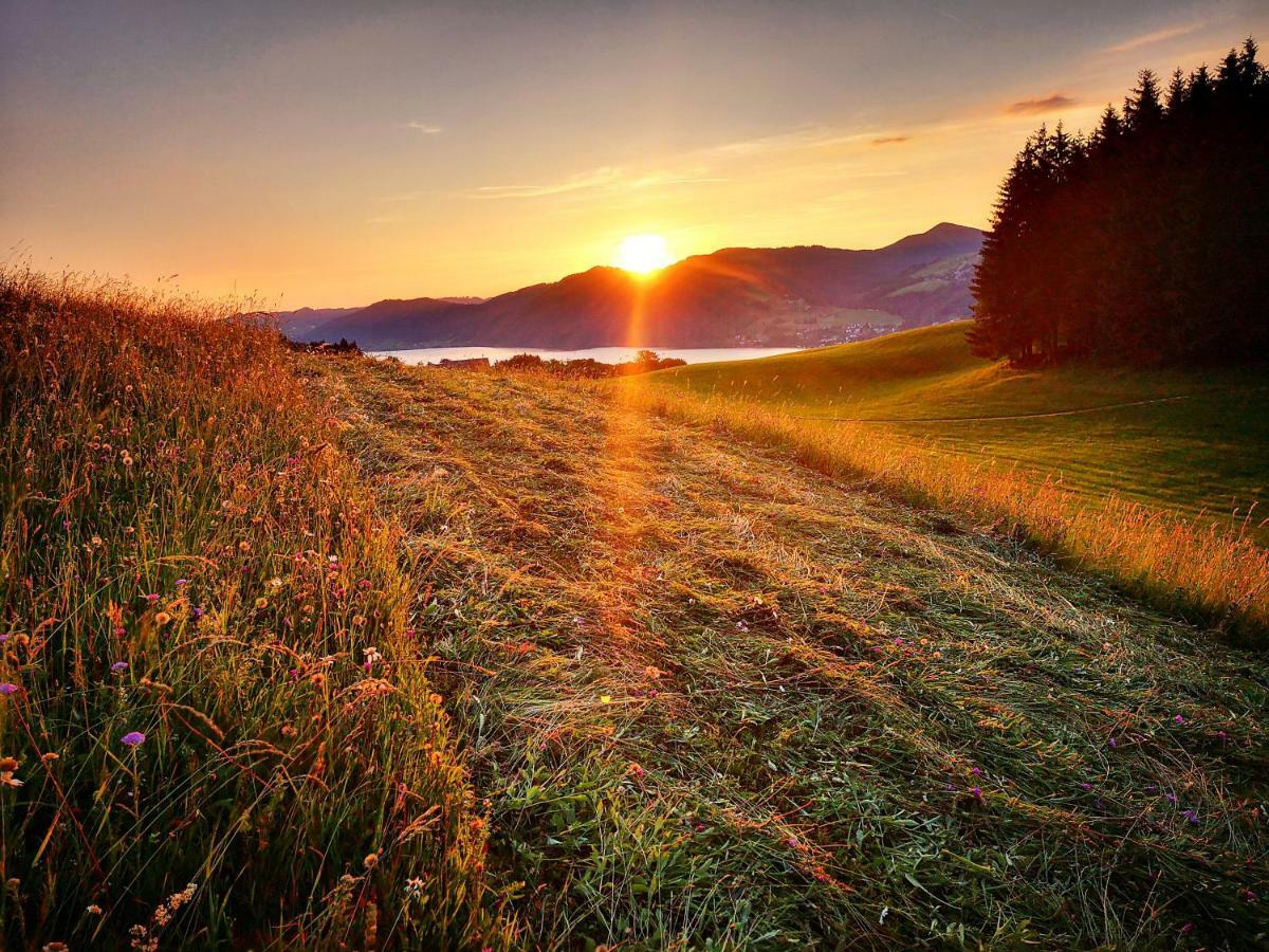 Ferienhof Margarethengut Vila Unterach am Attersee Exterior foto